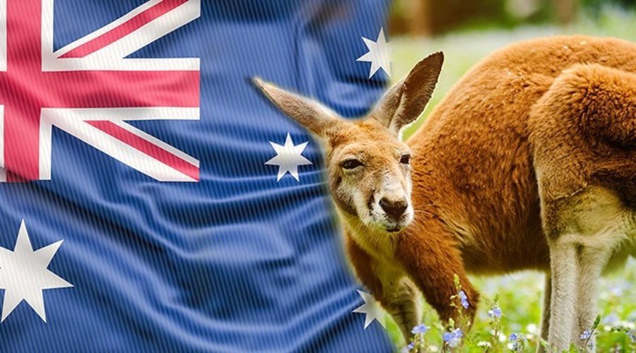 Australia’s Scam Losses Jump Nearly 30% Despite Fewer Reports